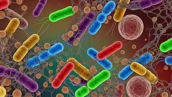 La huella biológica de la psicopatía podría estar en el intestino: identifican tres bacterias y dos metabolitos como posibles marcadores de este trastorno de la personalidad