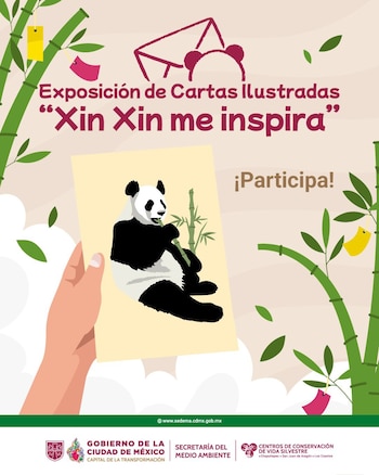 Afiche de exposición "Xin Xin me inspira". Muestra una mano sosteniendo un dibujo de panda comiendo bambú, entre tallos de bambú con adornos