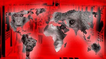 La falta de estructuras sólidas