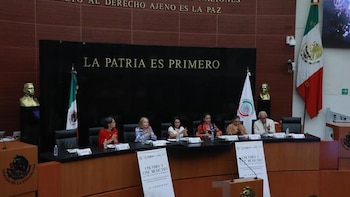 Es oficial, Senado redefine cómo se evaluará a las Fuerzas Armadas en tareas de seguridad pública