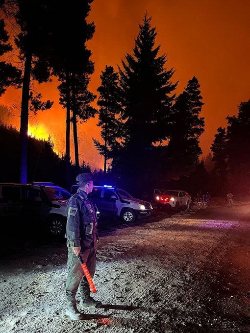 Gendarmería nacional trabaja junto a fuerzas policiales y organismos nacionales y provinciales