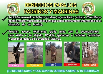 Beneficios de apadrinar a un