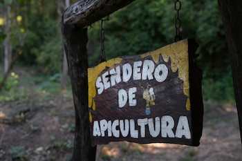 En Yariguarenda, cerca de Tartagal, trabaja la comunidad guaraní en la conservación de las Yungas, la protección contra incendios, y el cuidado de biodiversidad. Mujeres guaraníes atravesadas por la resiliencia y el cuidado de su territorio