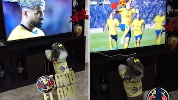 Luna, la tierna perrita americanista