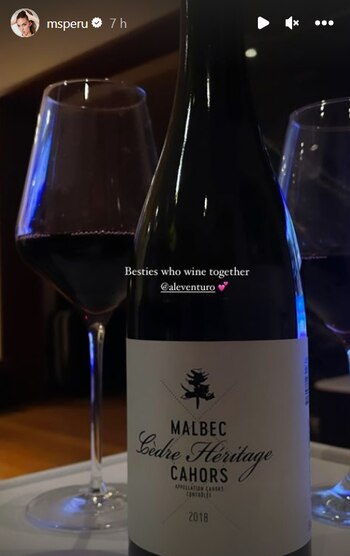 Natalie Vértiz y Ale Venturo disfrutan de un vino entre amigas. Instagram