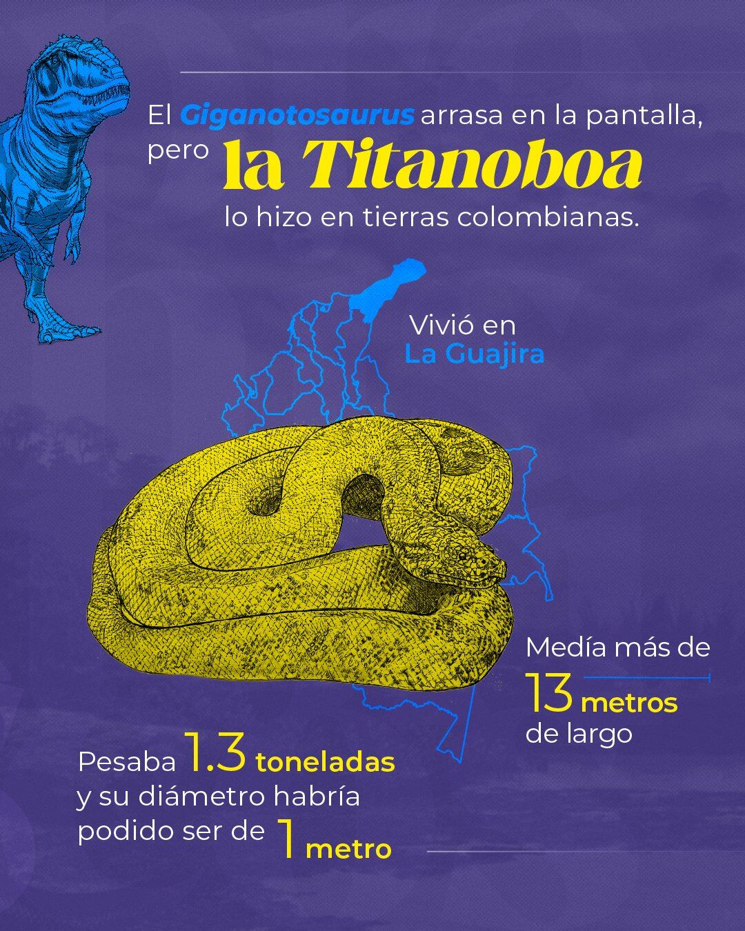 Uno de los ejemplares más impactantes es la Titanoboa cerrejonensis, una serpiente que vivió en La Guajira - crédito Servicio Geológico Colombiano