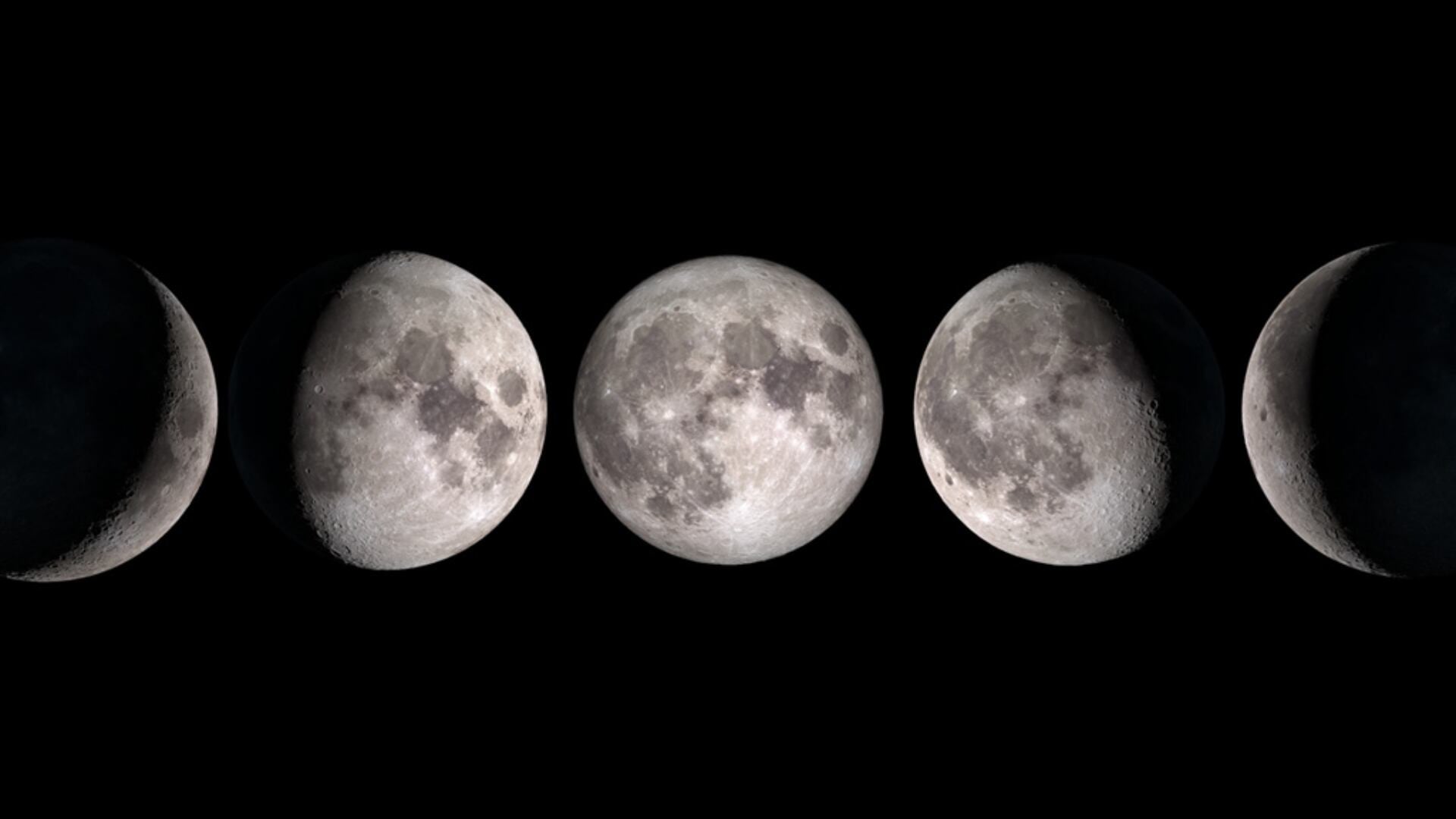 Fases de la Luna durante el ciclo lunar de 29,5 días.(NASA)