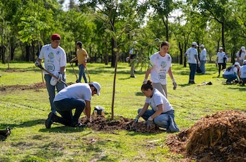 Se reforestaron 1,000 árboles nativos