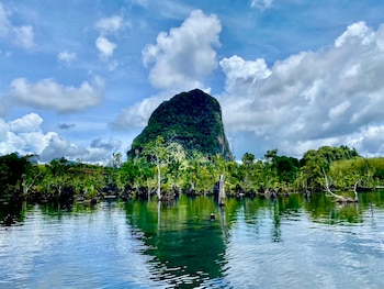 Jungla de Krabi, Tailandia (Cedida).