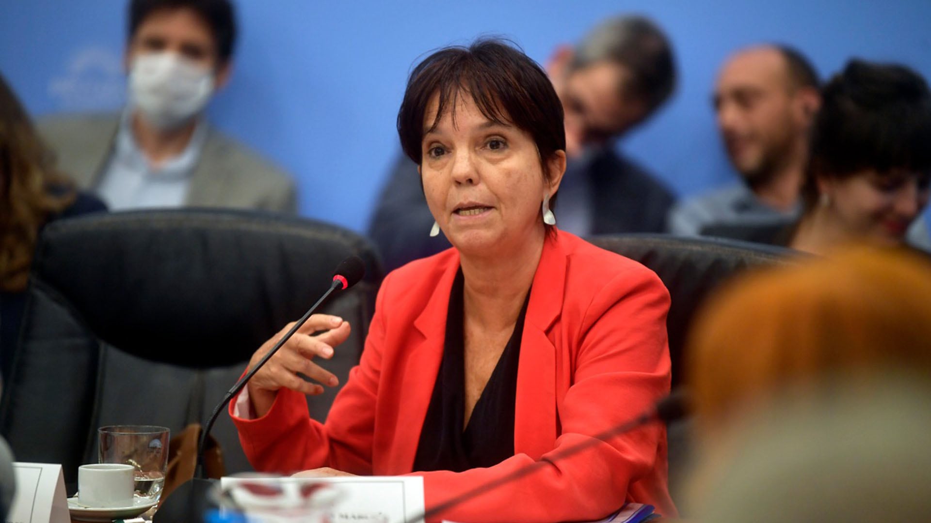 Mercedes Marcó del Pont encabezó el cambio de la Carta Orgánica del Banco Central de la República Argentina (BCRA) en 2012.