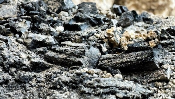 El yeso derretido de las paredes sella la madera y facilita su preservación durante unos 2.600 años (Universidad de Tel Aviv)