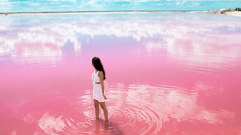 Tiene agua color rosa, santuarios de flamencos y paz absoluta: la región escondida de Yucatán para desconectar del mundo