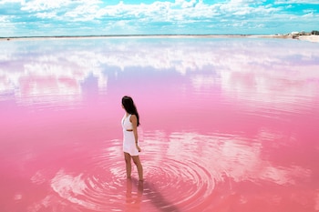 Las lagunas de Las Coloradas se ubican dentro de la Reserva de la Biosfera Ría Lagartos, en la costa norte de Yucatán. (Foto: Visit México)