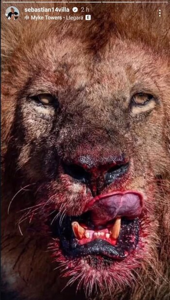 Mensaje de Sebastián Villa en