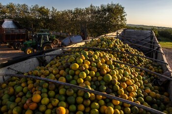 En los próximos meses, también