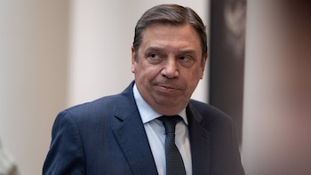 La peste porcina se ha