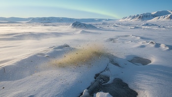 Identifican el posible rol del