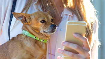 Marcos, estudiante de veterinaria: “Hay