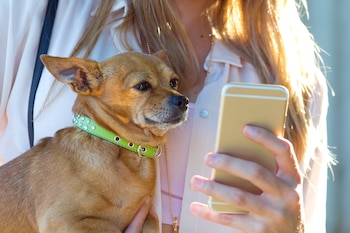 Hay estudios científicos que demuestran