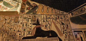 La momificación de perros en