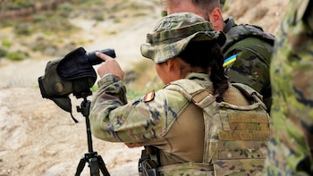 El apoyo militar de España