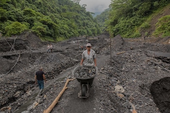 Las proyecciones para 2025 anticipan