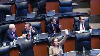 Autorizan a la Cámara de