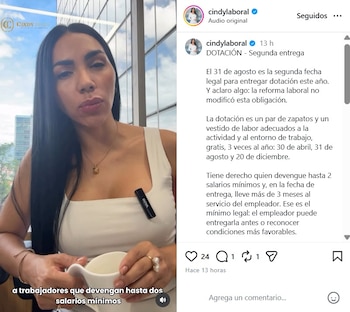 La abogada laboralista compartió el video desde su cuenta de Instagram el viernes 21 de agosto de 20226 - crédito @cindylaboral/IG