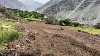 Cenepred alertó que 968 distritos