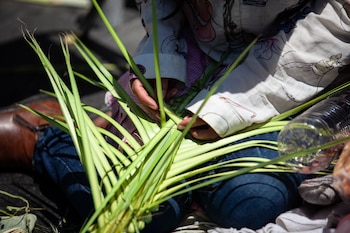 Domingo de Ramos México