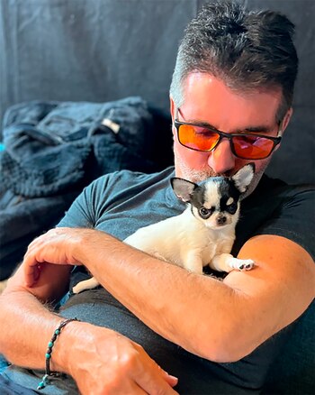 Simon Cowell aseguró su intención