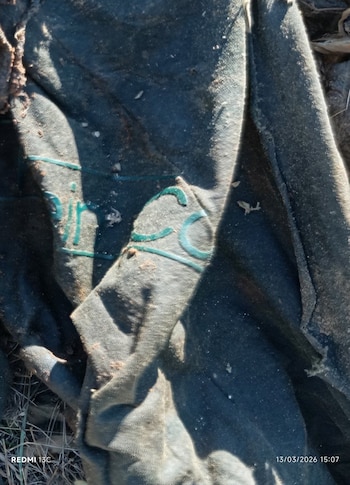 Los restos humanos fueron encontrados