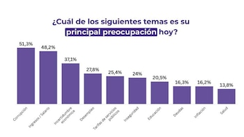 Gráfico de barras moradas que presenta porcentajes de preocupación por corrupción, ingresos, desempleo, inseguridad y otros temas