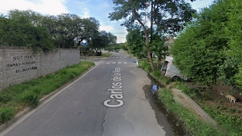 Calle asfaltada con nombre "Carlos de la Vega", muro con grafiti, árboles, arbustos, vehículo abandonado, perro, zanja con agua y cielo nublado
