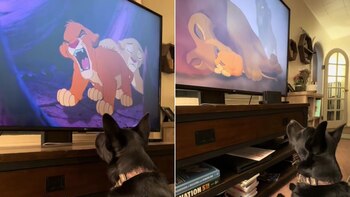 La emotiva reacción de un