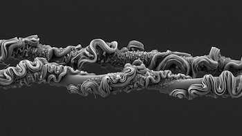 La imagen premiada por la