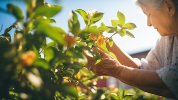 La urbanización reduce exposición microbiana