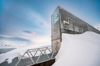 Banco Mundial de Semillas de Svalbard. (Michael Major/Wikimedia Commons)