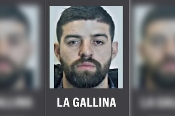 La Gallina, CJNG