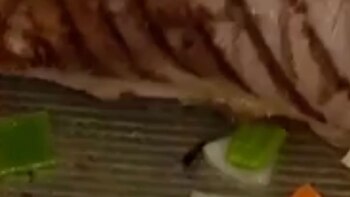 Apareció una cucaracha en la