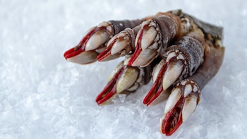 Cómo congelar los percebes (Adobe