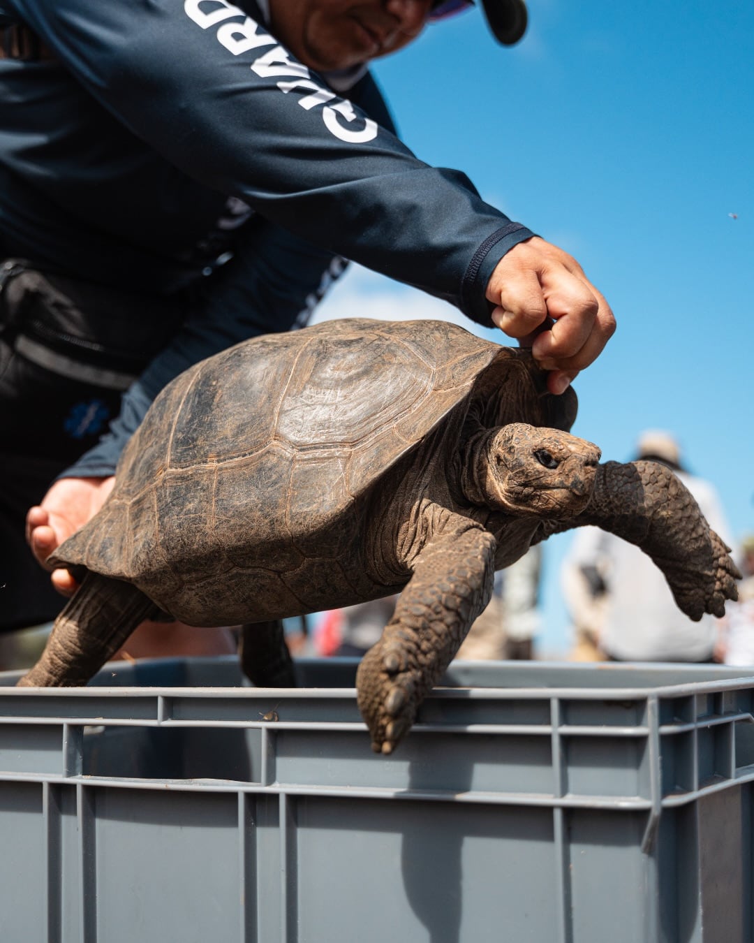 Pruebas de ADN permitieron iniciar un programa de reproducción en cautiverio