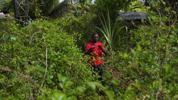 La crisis se extiende por