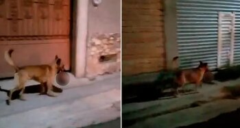 Otro aterrador suceso fue captado