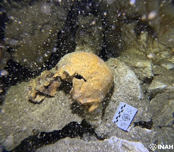 Cráneo humano incompleto y restos óseos sobre el lecho marino con una escala de medición; el agua contiene partículas suspendidas