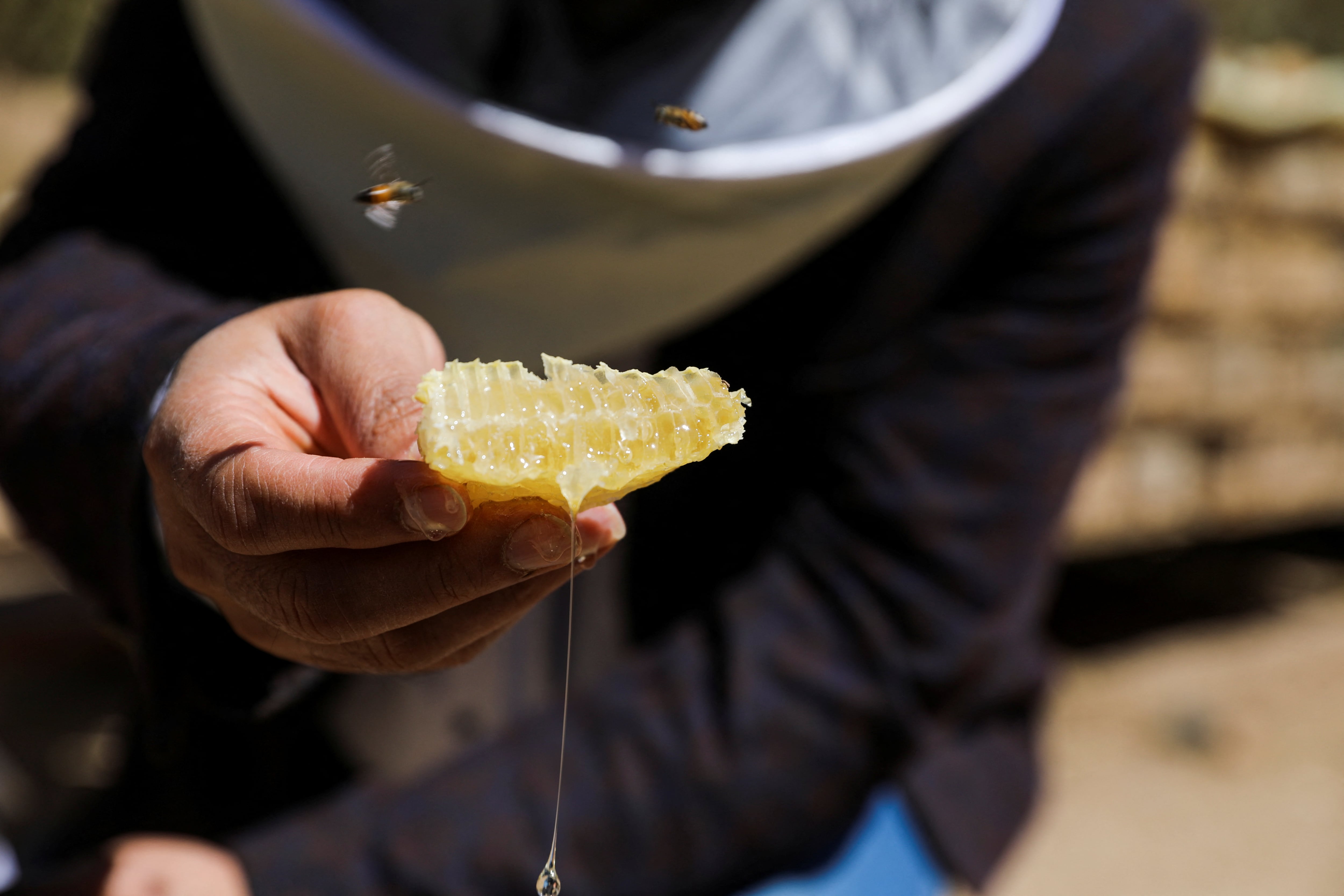 La textura dorada y el sabor intenso siguen siendo distintivos en el paladar de consumidores de todas las edades (REUTERS/Khaled Abdullah/Archivo)