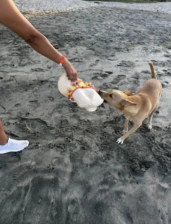 Otra turista contó que el