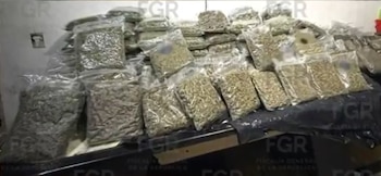 Procesan a tres sujetos detenidos con más de 100 kilos de marihuana en CDMX
