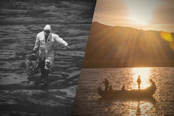 En 2020, el biólogo y