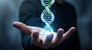 La investigación publicada en Nature